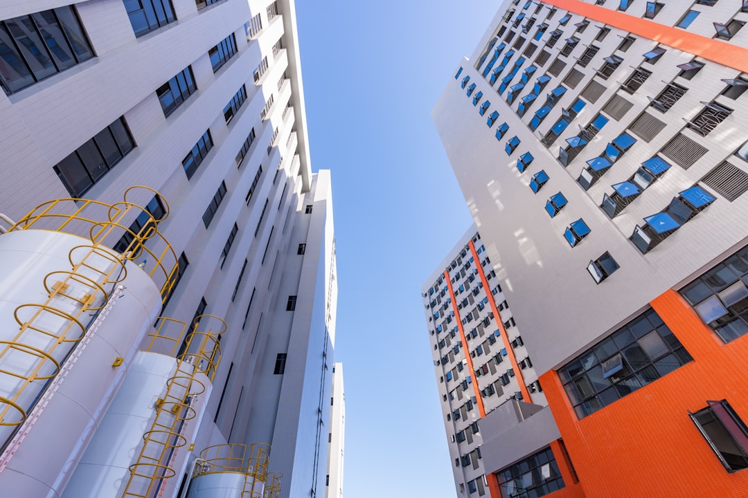 From Rags to Riches: The Surprising World of Kitchen Appliances